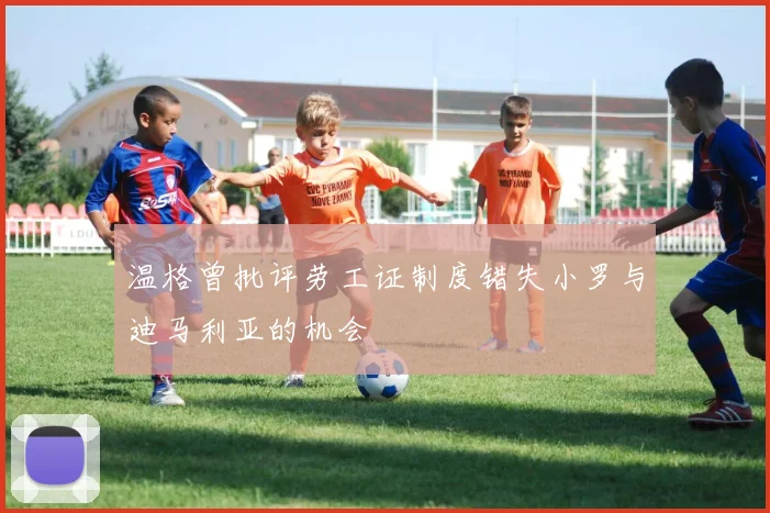温格曾批评劳工证制度错失小罗与迪马利亚的机会