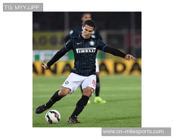 埃尔纳内斯:国米展现意大利足球之巅的实力与风采 埃尔纳内斯:国米展现意大利足球之巅的实力与风采